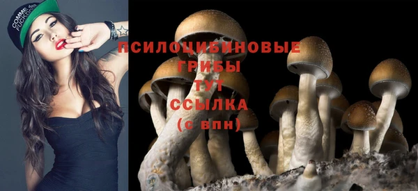 скорость Елабуга