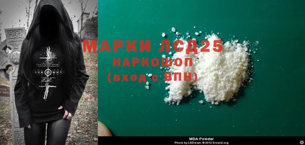 ПСИЛОЦИБИНОВЫЕ ГРИБЫ Заволжье