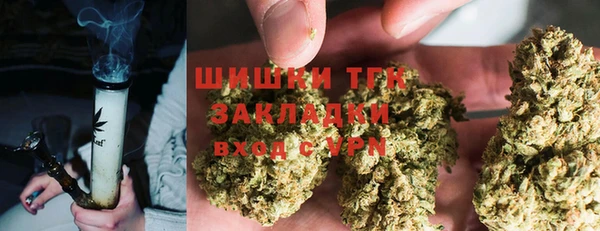 ПСИЛОЦИБИНОВЫЕ ГРИБЫ Заволжье
