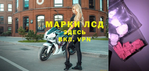 ПСИЛОЦИБИНОВЫЕ ГРИБЫ Заволжье